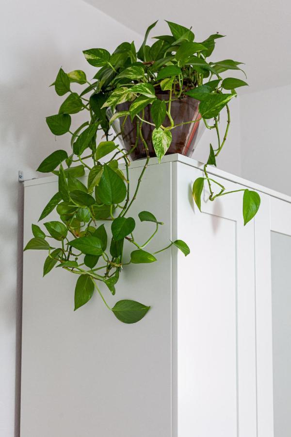Casa Ignazia In Lajares Apartment Екстериор снимка